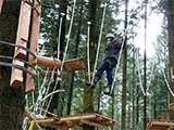 Kletterparcours zwischen Bäumen im Hochseilgarten Abenteuer Wald
