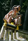 Sommerrodelbahn Odenwaldbob mit Abfahrt durch bewaldetes Gelände