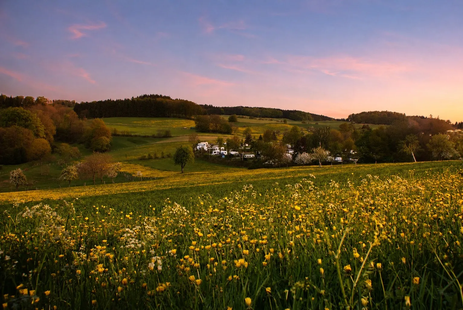 Blumenwiese im Abendlicht mit Blick auf den Camping Park Hammelbach